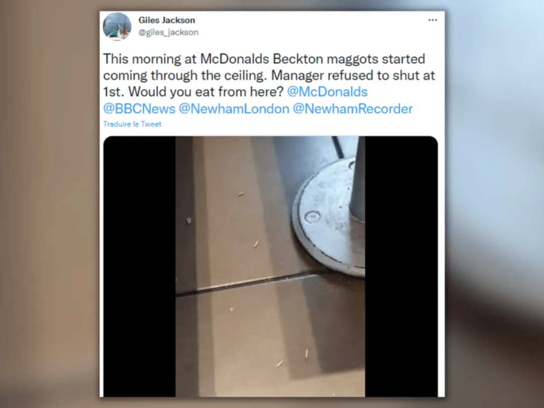 Des asticots découverts dans un McDonald's