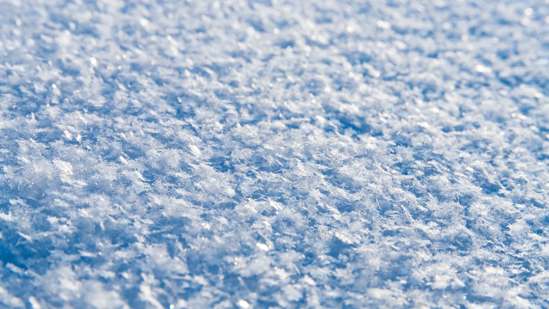 Neige
