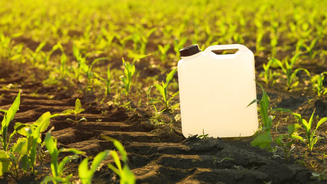 glyphosate