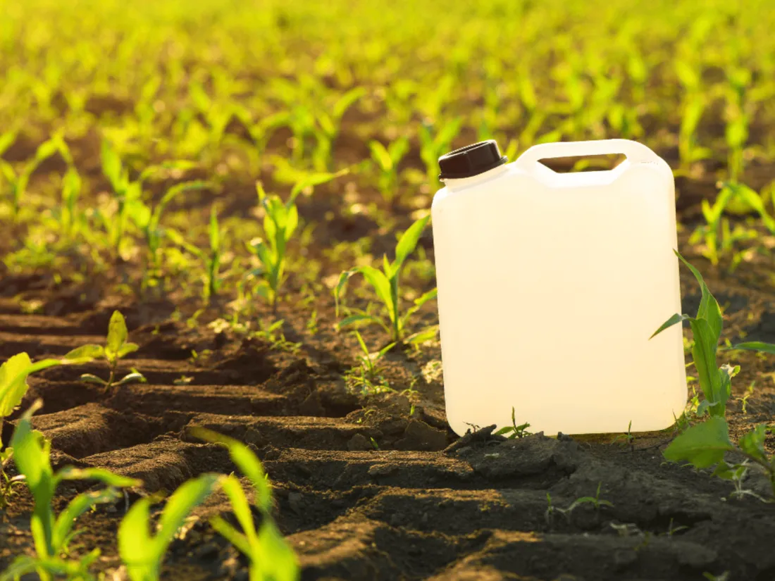 glyphosate