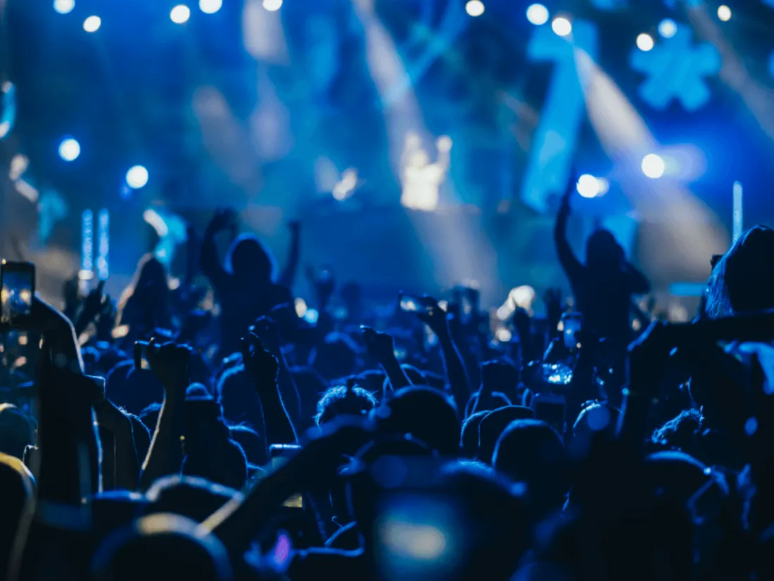 Foule dans un concert