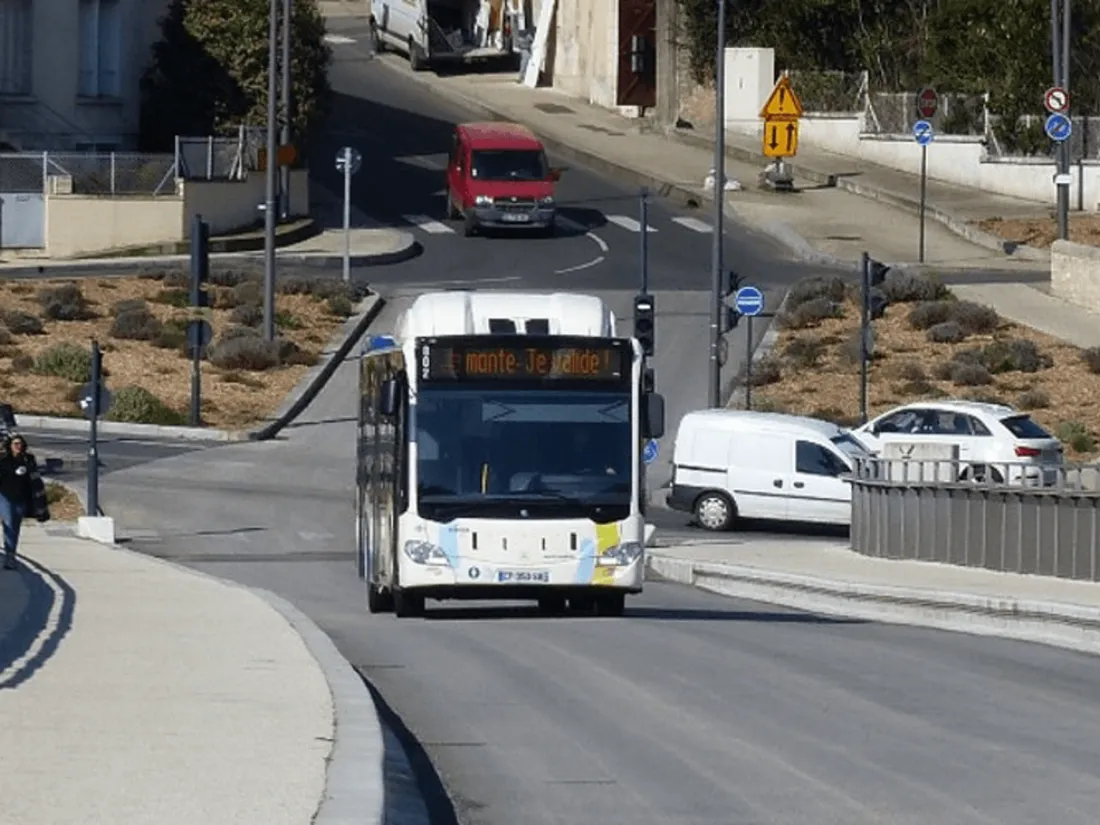 Bus Vitalis