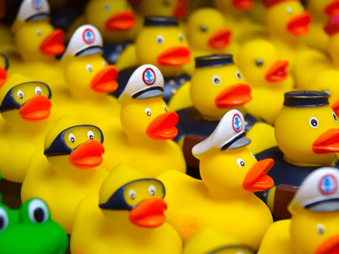 Canards en plastique