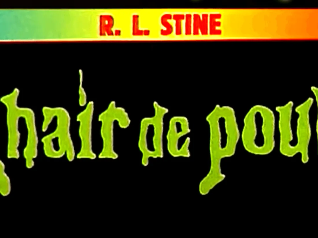 Recueil de 10 histoires, par l'auteur de "Chair de Poule"