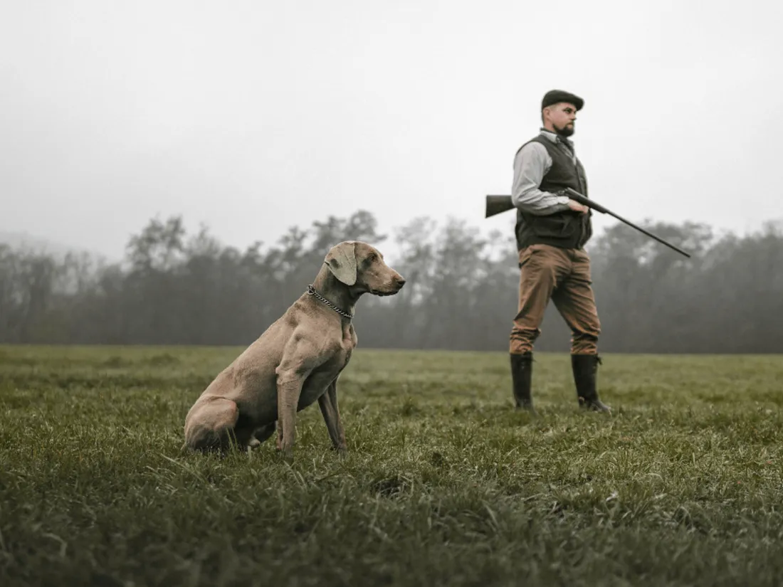 Chasse