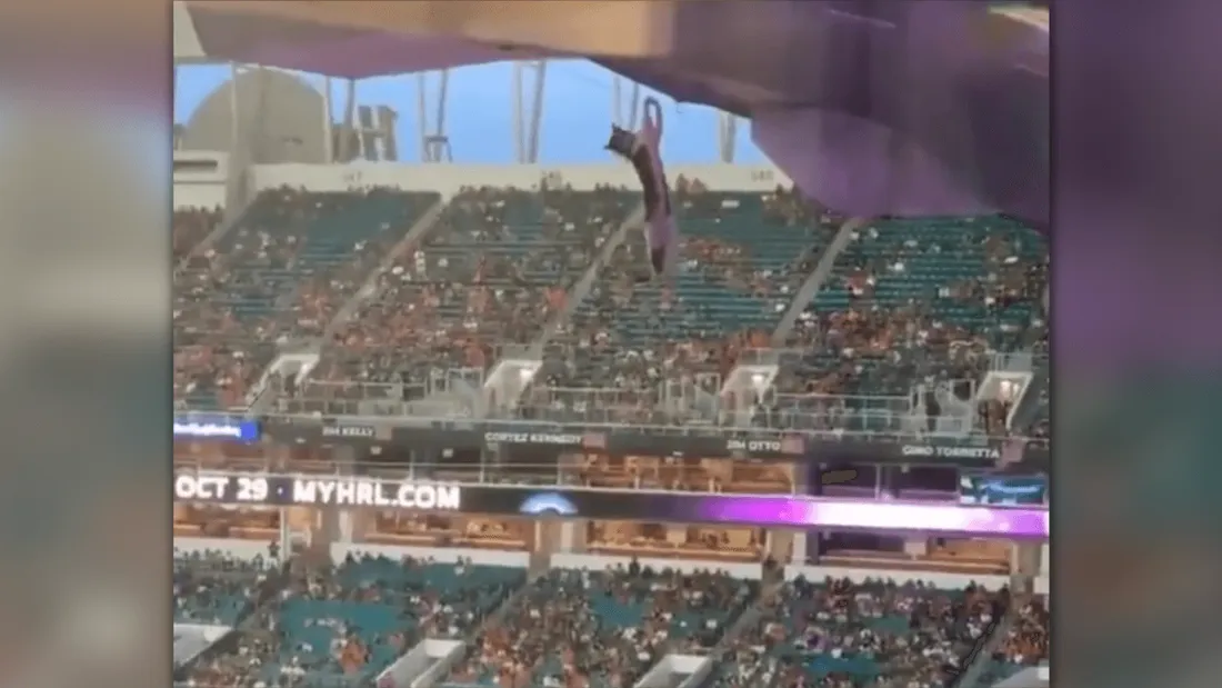 Chat sauvé d'une chute lors d'un match de foot américain, grâce à des supporters 