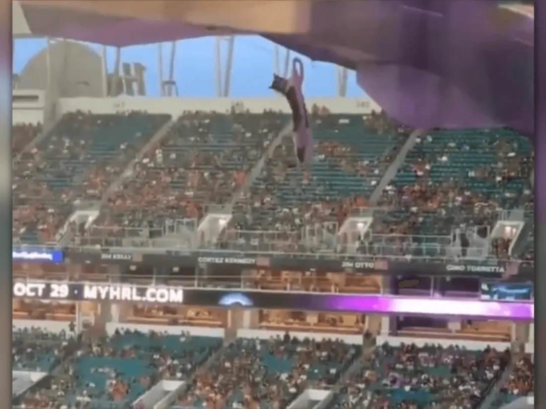 Chat sauvé d'une chute lors d'un match de foot américain, grâce à des supporters 