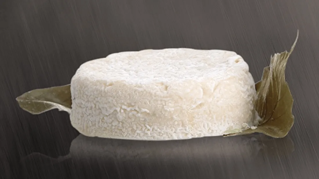 Rappel de chèvres produits en Deux-Sèvres