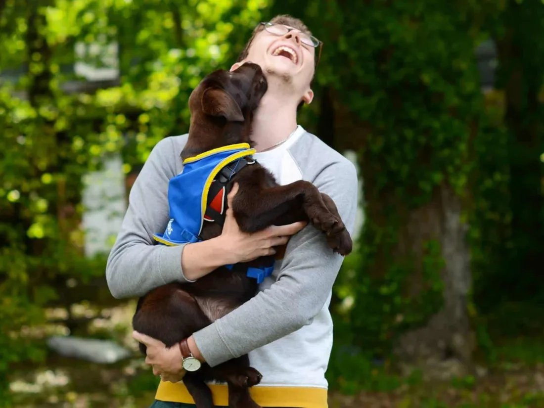 Handi'Chiens est à la recherche d'une dizaine de familles d'accueil en Bretagne.
