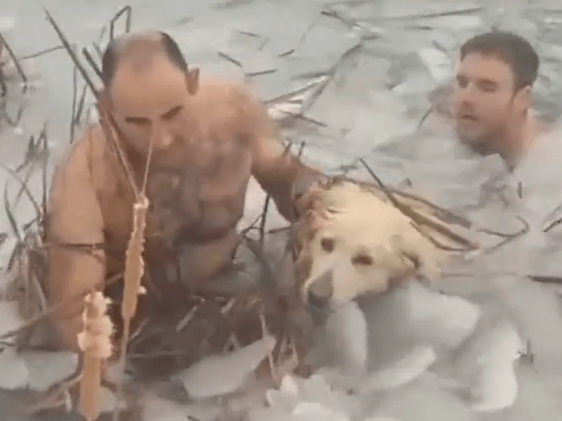 Espagne : deux policiers plongent dans un lac gelé pour secourir un chien