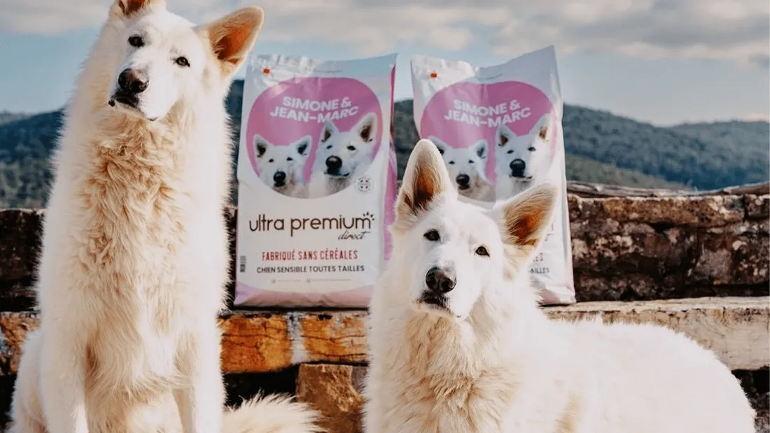 Les chiens de Julien Doré stars d’une marque de croquettes… pour la bonne cause
