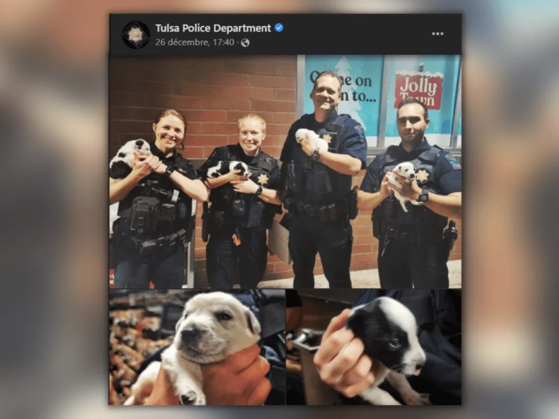 États-Unis : Un commissariat de police adopte des chiots abandonnés à Noël