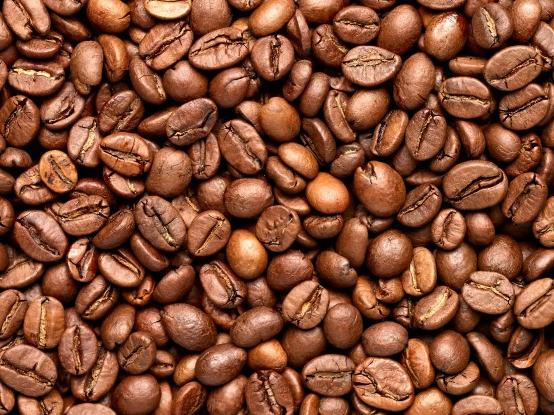 La caféine, futur traitement contre la maladie d'Alzheimer ?