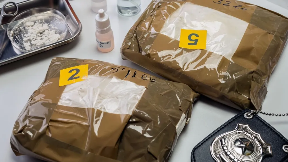 151 kg de drogue d’une valeur marchande de 2,5 millions d’euros ont été saisis.