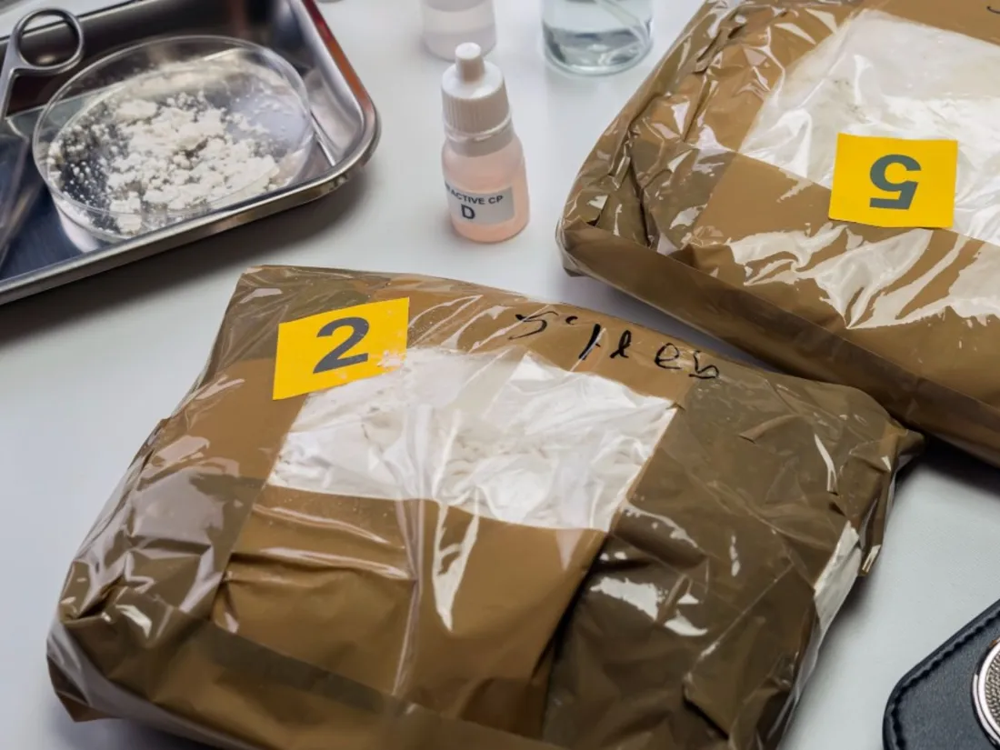 151 kg de drogue d’une valeur marchande de 2,5 millions d’euros ont été saisis.