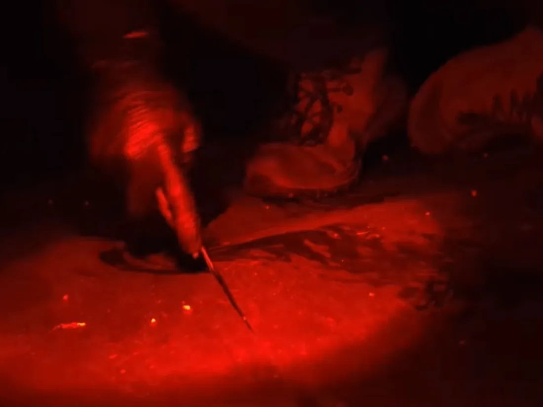 Cutter vandalisme bassine