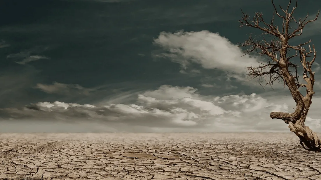 Réchauffement climatique : 1 chance sur 2 que le seuil de 1,5°C soit dépassé dans les 5 ans