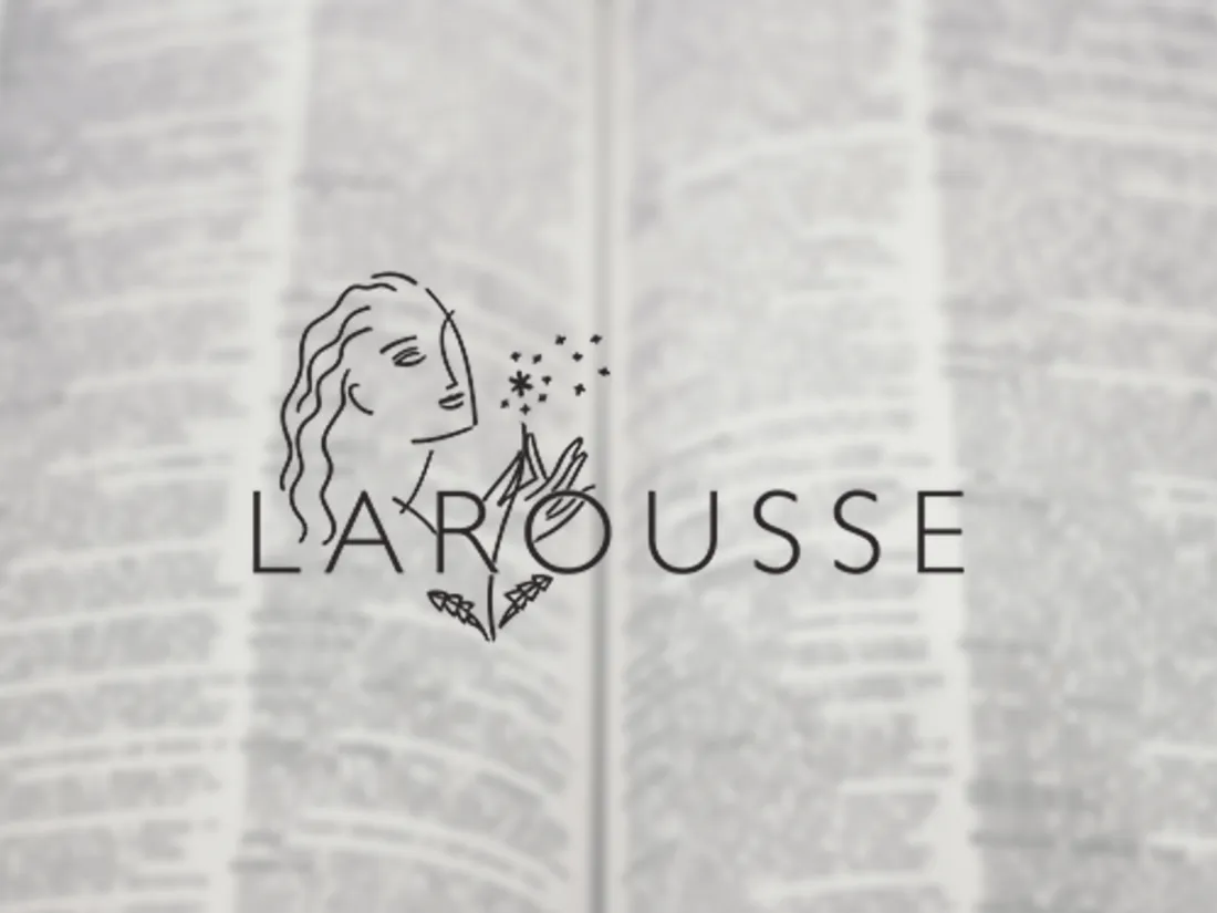 Wokisme, NFT, grossophobie... Le Larousse dévoile ses nouveaux mots !