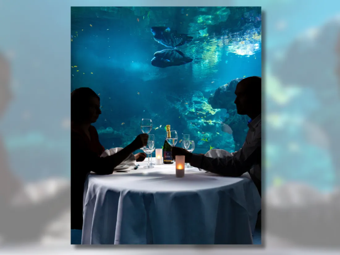 Seuls 70 privilégiés pourront dîner au milieu des poissons et requins.