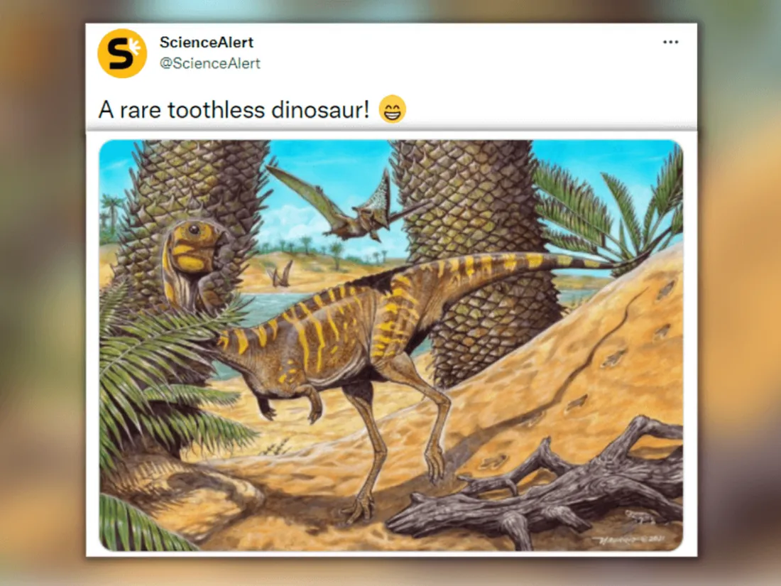 "Berthasaura leopoldinae" : une nouvelle espèce de dinosaure découverte au Brésil