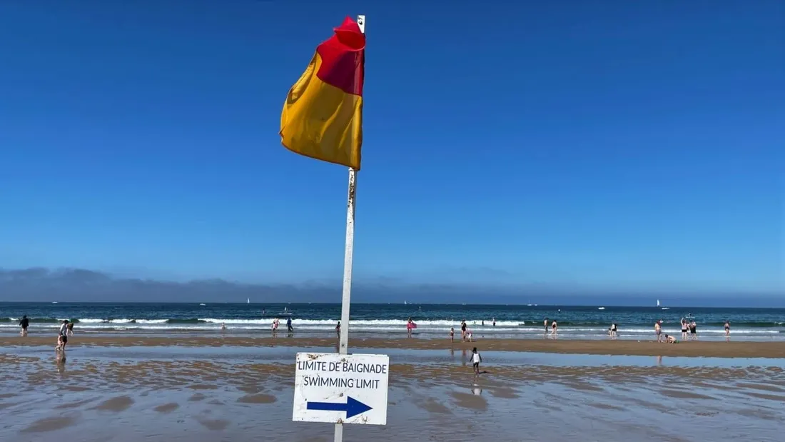 Rouge, vert, bicolore... tout savoir sur les couleurs des drapeaux sur les plages