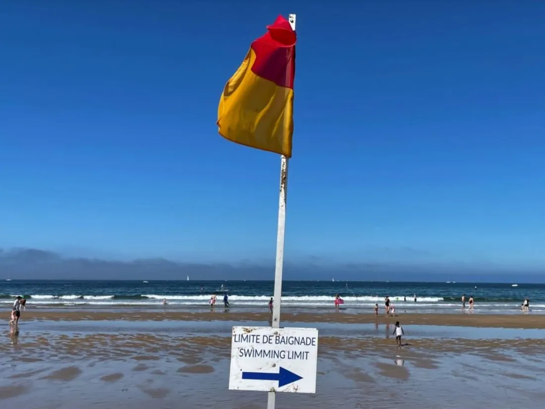 Rouge, vert, bicolore... tout savoir sur les couleurs des drapeaux sur les plages