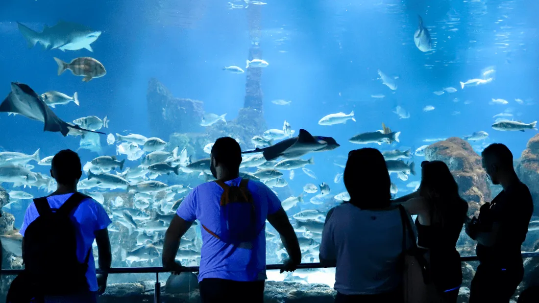 Berlin : un aquarium explose dans un hôtel