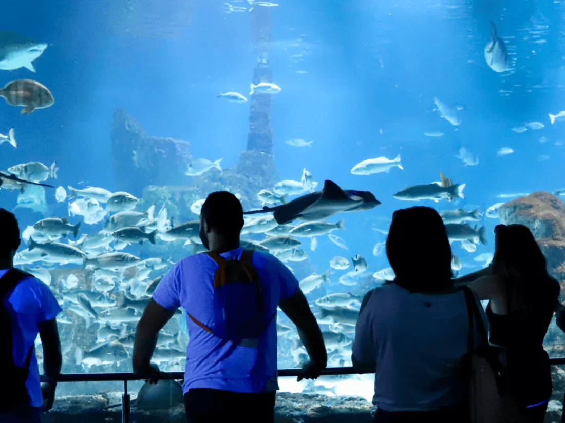 Berlin : un aquarium explose dans un hôtel