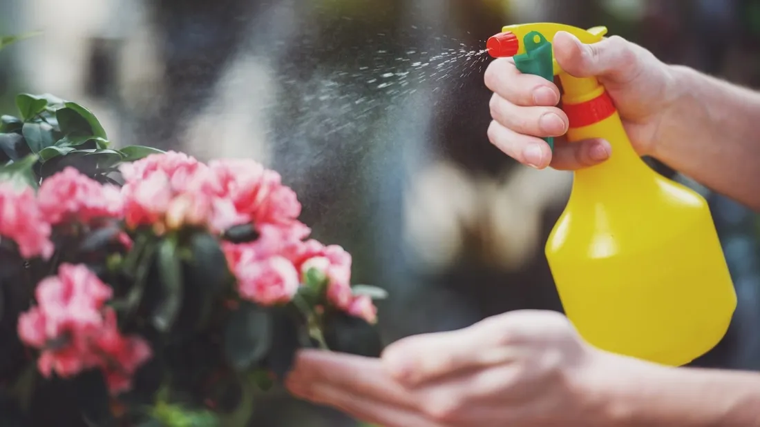 Une ancienne fleuriste exposée aux pesticides se bat pour sa fille, morte d’un cancer à 11 ans