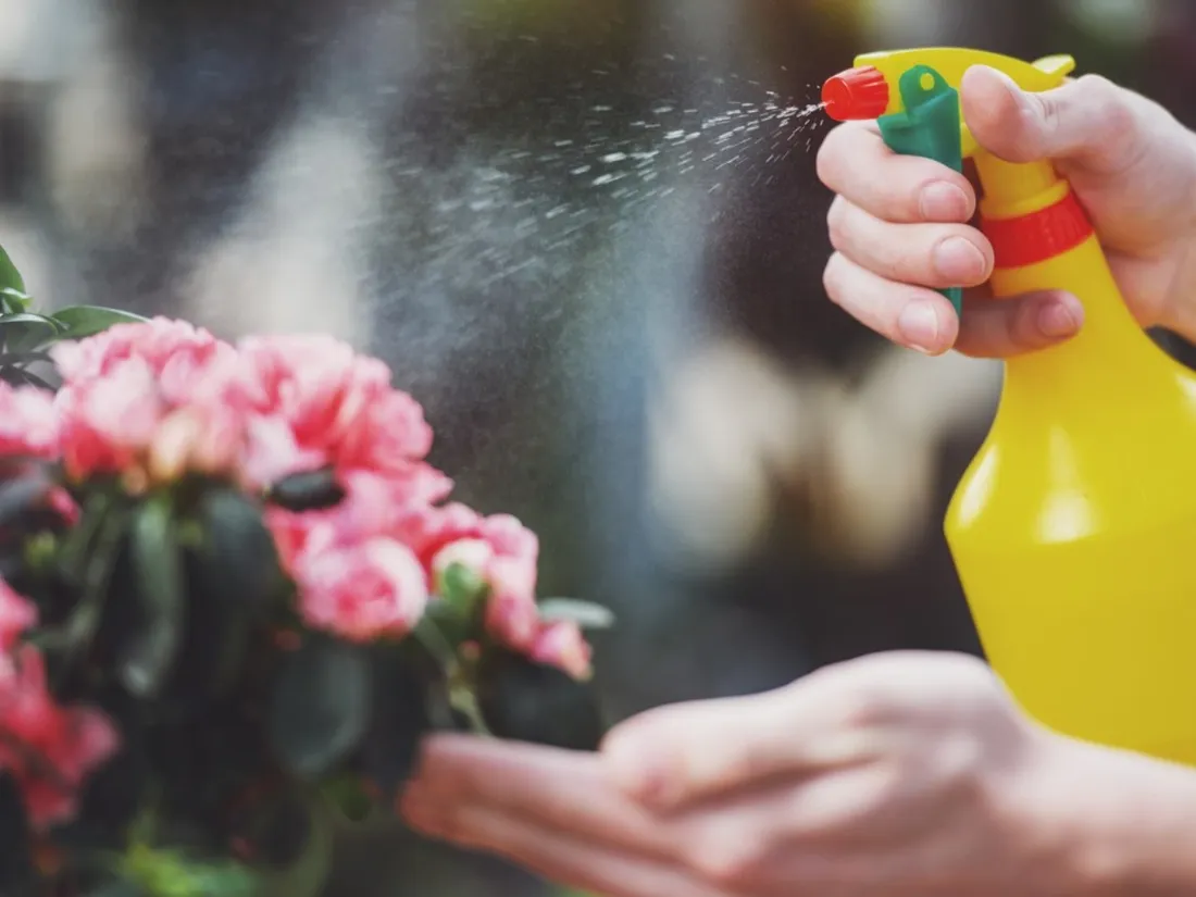 Une ancienne fleuriste exposée aux pesticides se bat pour sa fille, morte d’un cancer à 11 ans