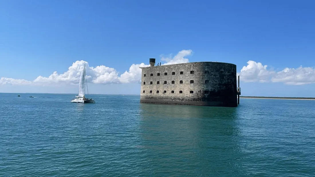 Les tigres de Fort Boyard prennent leur "digne" retraite