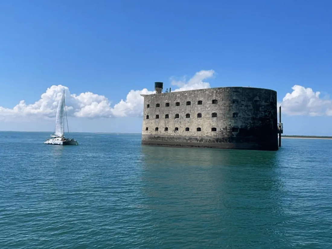 Les tigres de Fort Boyard prennent leur "digne" retraite