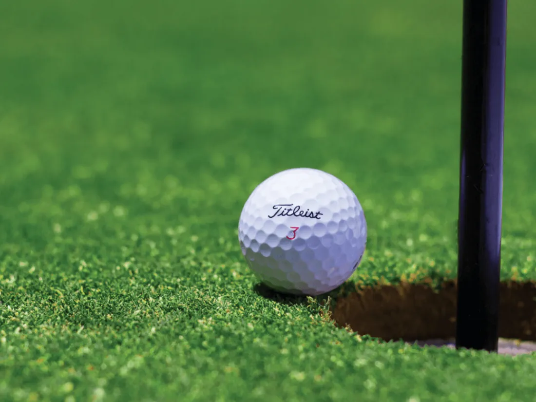 Limoges : des plans de salade et de tomates sur les greens de golf