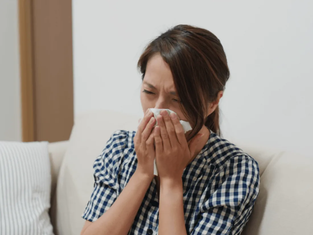 L'épidémie de grippe