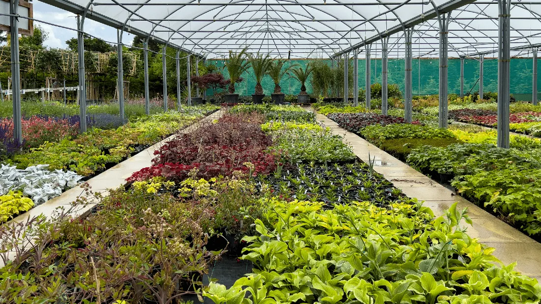 Horticulteur