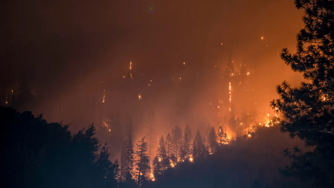 Incendie forêt