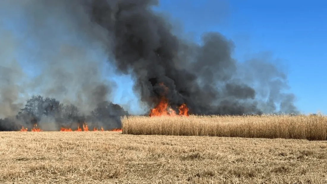 Incendie Houssay
