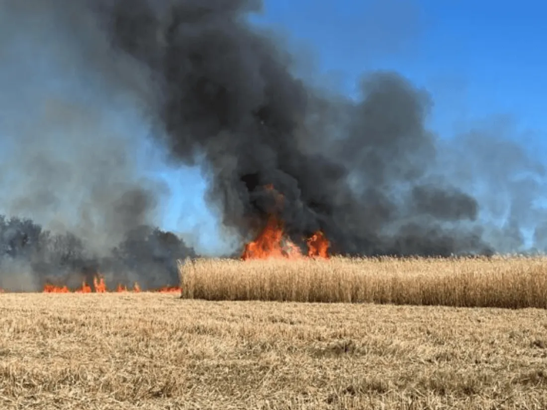 Incendie Houssay