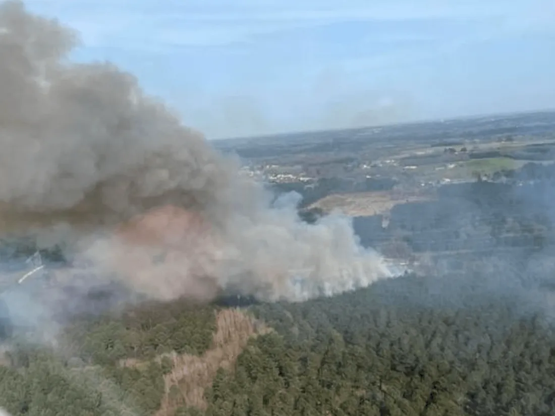 Feux de forêt en Charente-Maritime : la gendarmerie lance un appel à témoins