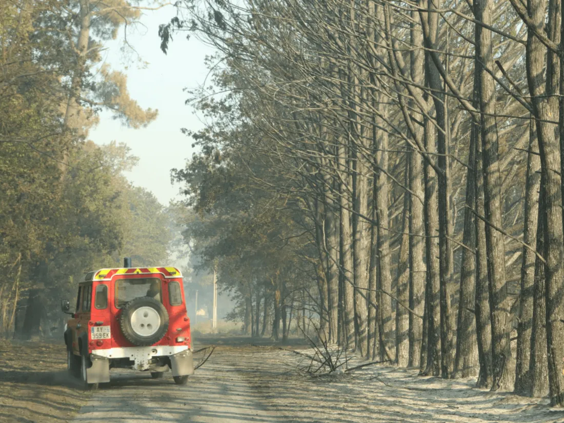 Les pompiers mobilisés sur les feux de forêts