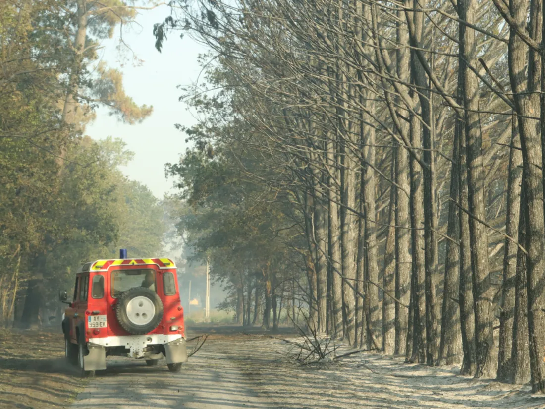 Pompiers forêt