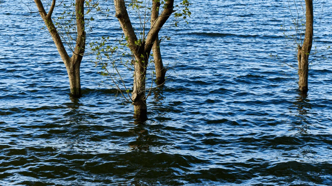 De nombreux cours d'eau vont être surveillés.
