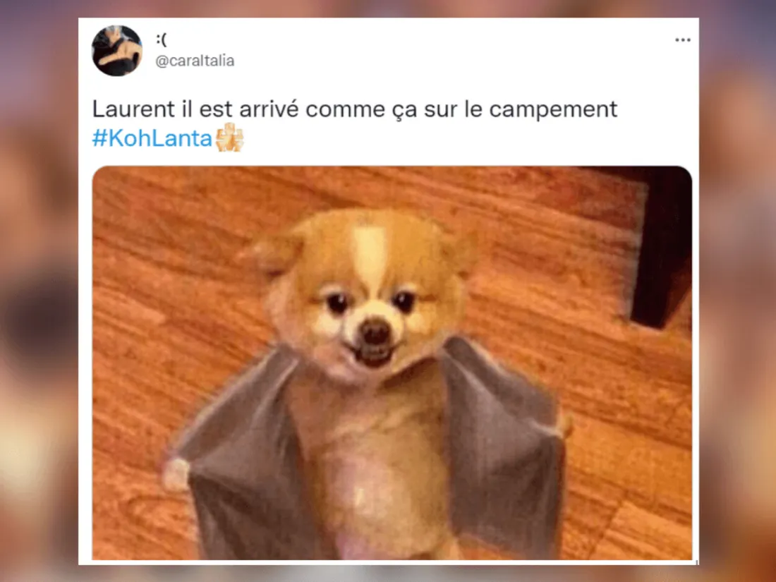 Meilleurs Tweets Koh Lanta La Légende 
