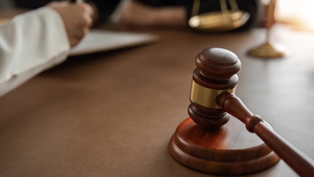Tribunal