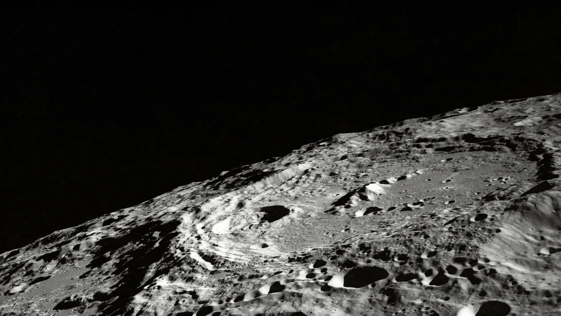 Des scientifiques ont fait pousser des plantes dans du sol lunaire