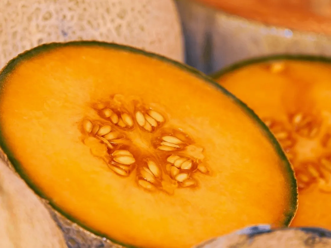 Un candidat mange un melon pendant son épreuve de philo !