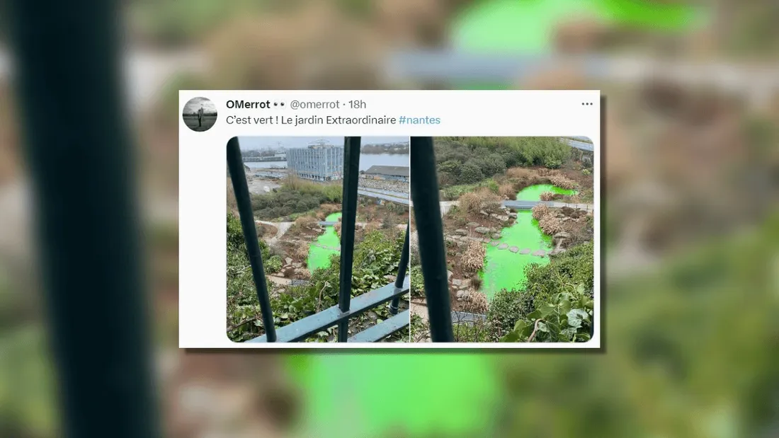 Nantes : la cascade du jardin extraordinaire revêt une couleur (très) étrange