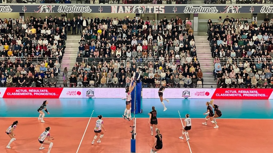 Neptunes de Nantes