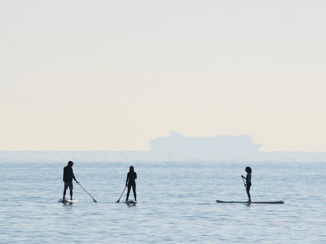 Paddle