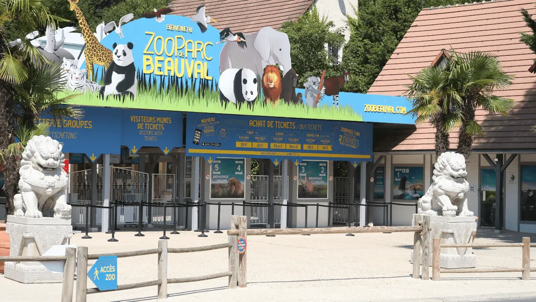 ZooParc de Beauval: Generaldirektion mit Lizenz für das Grab